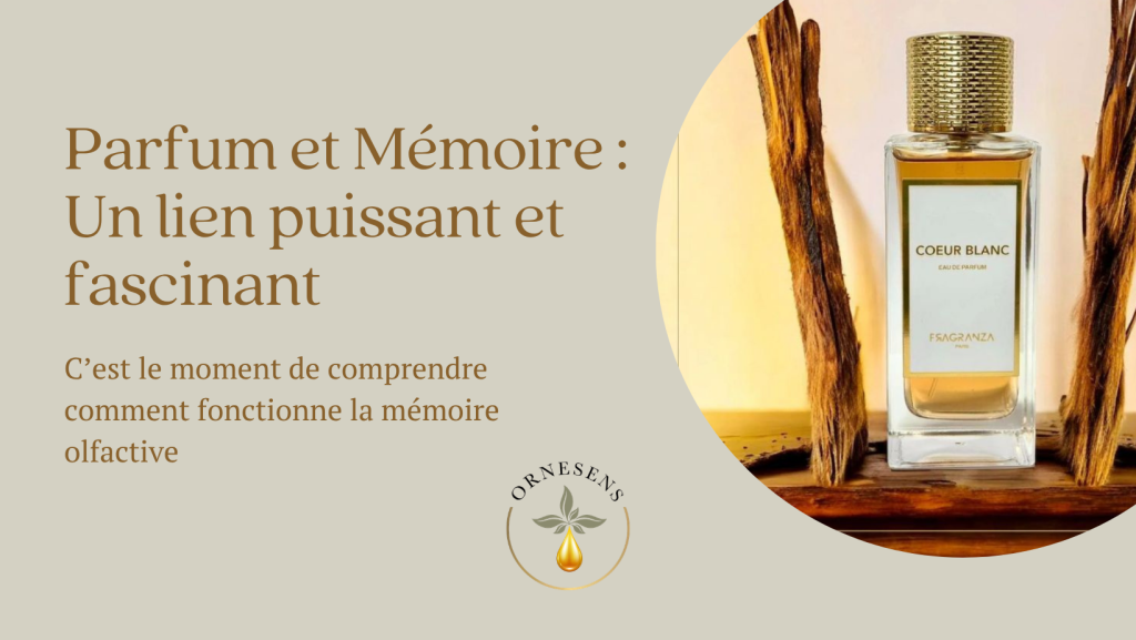 Mémoire-olfactive